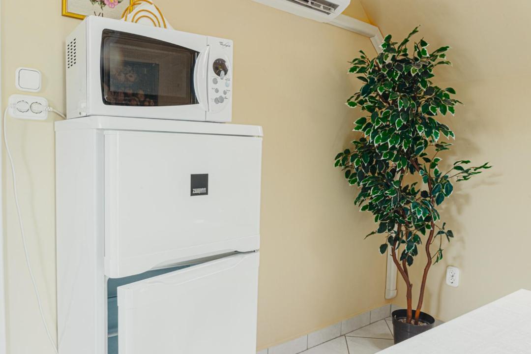 Bianka Apartman バラトンレッレ エクステリア 写真